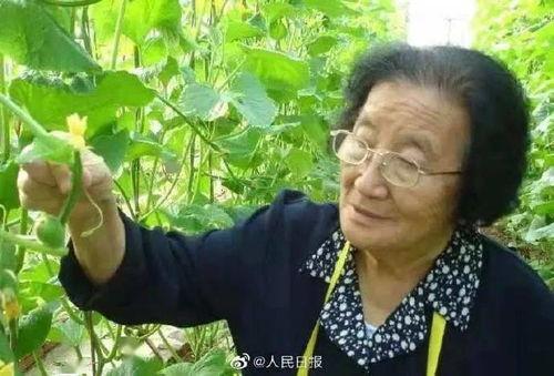 娱乐吃瓜酱甘肃人,探寻娱乐吃瓜酱的独特魅力