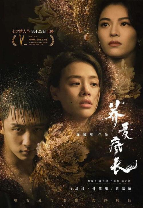 娱乐吃瓜与君歌定档,君歌定档引期待！