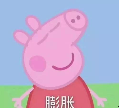 娱乐吃瓜酱肥肥猪的日常,笑料百出，趣味横生