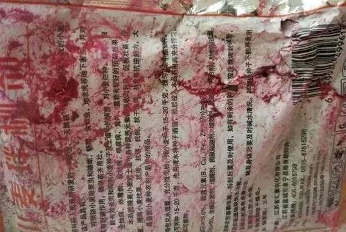 吃娱乐圈连串的瓜,揭秘明星背后的故事