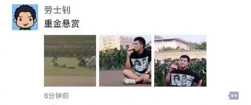 吃瓜娱乐图片搞笑版大全,笑料横生！吃瓜娱乐搞笑图片大盘点