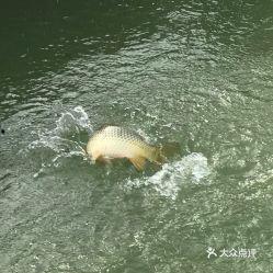 娱乐吃瓜钓鱼视频,吃瓜、钓鱼视频带你领略休闲生活新风尚