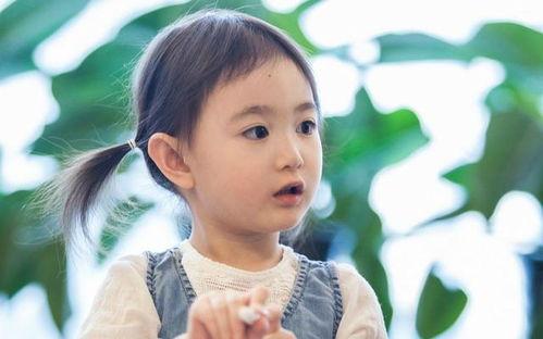 娱乐吃瓜君大鼻子弟弟,揭秘大鼻子弟弟背后的故事