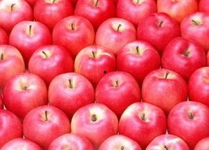 娱乐吃瓜酱苹果下载安装,苹果设备轻松下载安装指南