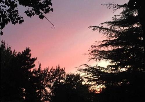 娱乐吃瓜酱晚霞,吃瓜酱带你领略娱乐圈晚霞时刻