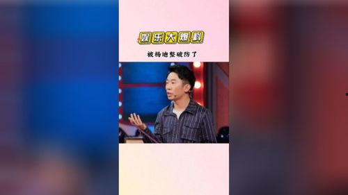 娱乐吃瓜猫杨迪,娱乐吃瓜猫的趣味人生