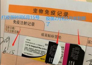 娱乐吃瓜酱宠物疫苗本