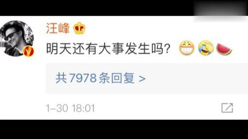 吃瓜娱乐圈的软件是什么,吃瓜神器——娱乐圈热门软件深度解析