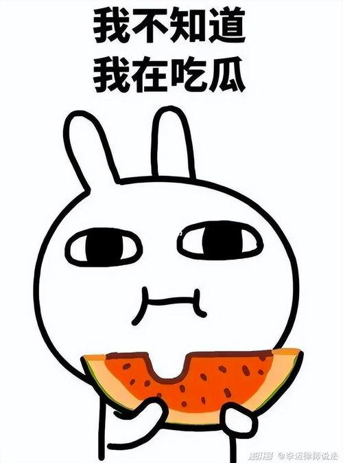 瓜瓜吃瓜娱乐,娱乐无限，揭秘娱乐圈幕后故事