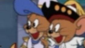 娱乐吃瓜猫咪视频,猫咪吃瓜视频大盘点