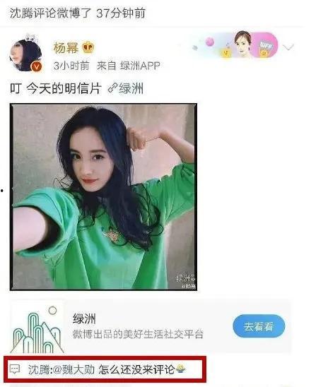 大家都是吃瓜人 娱乐,全民吃瓜，揭秘明星幕后故事